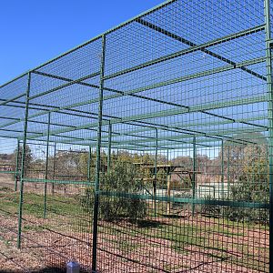 Future Sri Lankan Leopard Enclosure