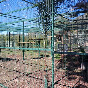 Future Sri Lankan Leopard Enclosure