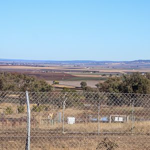 View from Cheetah Enclosure