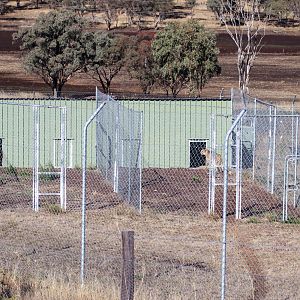 Cheetah Holding Area
