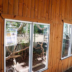 Red-handed Tamarin Enclosure
