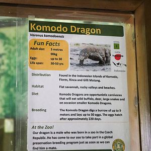 Komodo Dragon Sign