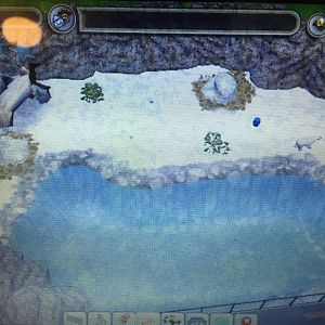 Bear Country - Polar Bear Exhibit