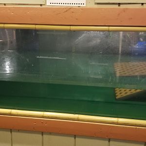Pocono Snake&Animal Farm - Pickerel Fish