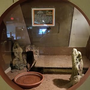 Pocono Snake&Animal Farm - Gila Monster