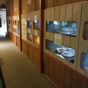 Pocono Snake&Animal Farm - second walkway in reptile room