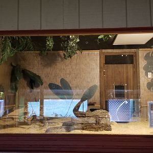 Pocono Snake&Animal Farm - Reticulated Python