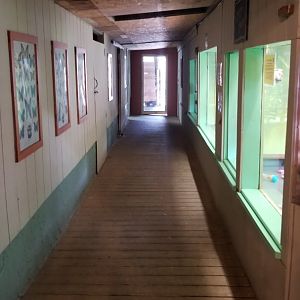 Pocono Snake&Animal Farm - hallway for small mammals