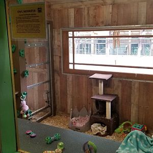 Pocono Snake&Animal Farm - Owl Monkey exhibit