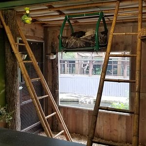 Pocono Snake&Animal Farm - Sloth