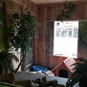 Pocono Snake&Animal Farm - "American Skunk" (striped)