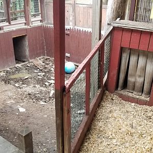 Pocono Snake&Animal Farm - pig area