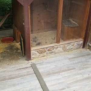 Pocono Snake&Animal Farm - wallaby indoor area