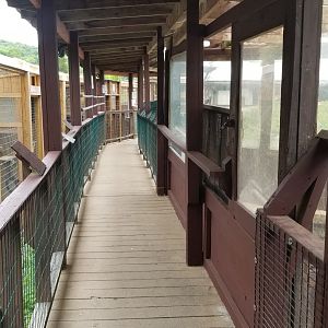 Pocono Snake&Animal Farm - Walkway, primates on left