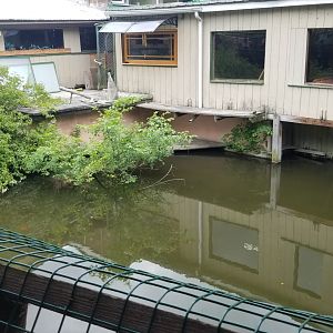 Pocono Snake&Animal Farm - Alligator & Turtle pond