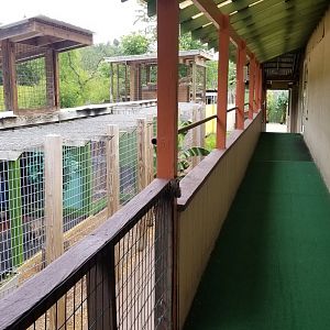 Pocono Snake&Animal Farm - Walkway to carnivores, birds