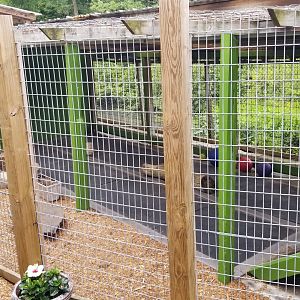 Pocono Snake&Animal Farm - Serval exhibit from other end