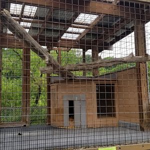 Pocono Snake&Animal Farm - Serval upper area