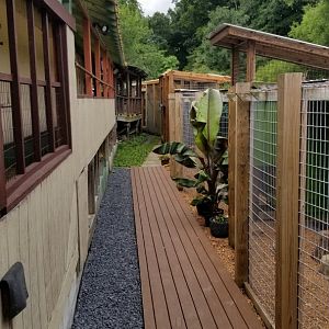 Pocono Snake&Animal Farm - keeper pathway for primates and cats