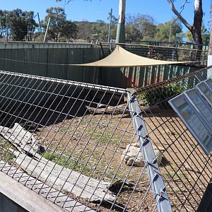 Lizard Enclosure