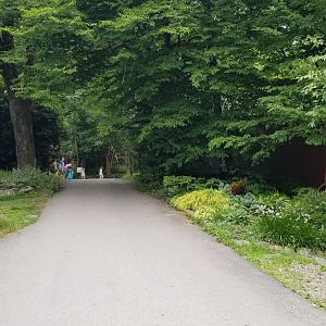 Claws N Paws - Path from building into zoo