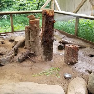Claws N Paws - Prairie Dogs (keeper hosing off exhibit)