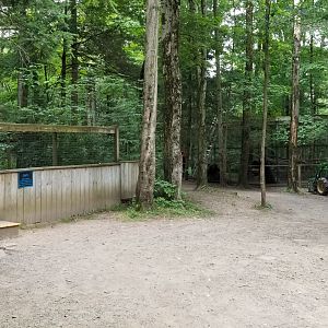 Claws N Paws - Mara on left, Eurasian Eagle Owl on right (being fixed)