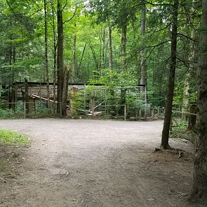 Claws N Paws - Path, leopard exhibit in front