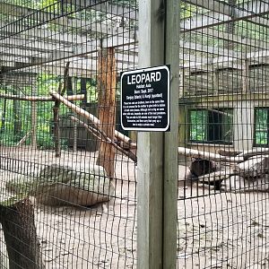 Claws N Paws - Leopard exhibit