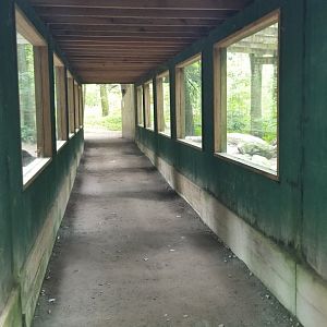Claws N Paws - Glass viewing for leopards, cougar