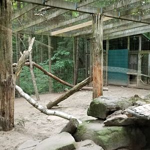Claws N Paws - Cougar exhibit