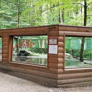 Claws N Paws - River otters