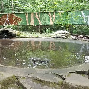 Claws N Paws - River otter exhibit