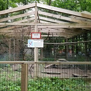 Claws N Paws - African crested porcupine, African pied crow