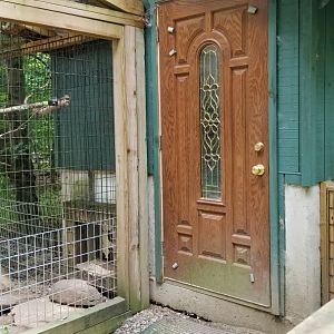 Claws N Paws - The porcupines have a front door
