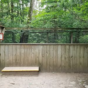 Claws N Paws - Arctic Foxes