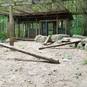 Claws N Paws - Snow Leopard exhibit #1