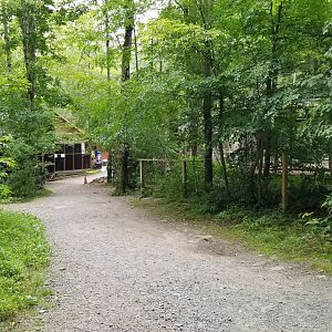 Claws N Paws - Path back to presentation building