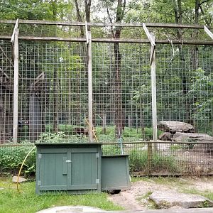 Claws N Paws - End of Lion building