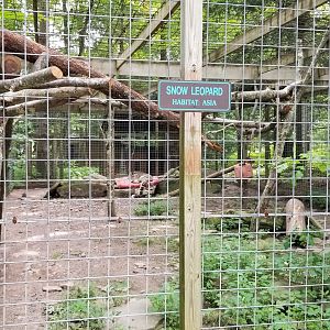 Claws N Paws - Snow Leopard exhibit #2