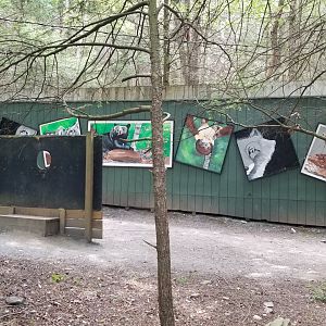 Claws N Paws - Mural