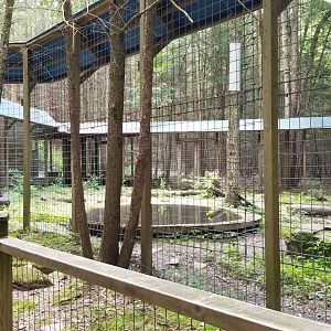 Claws N Paws - Black bear exhibit
