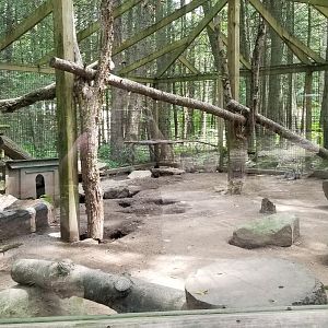 Claws N Paws - Red fox exhibit