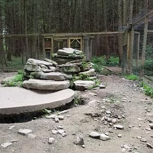 Claws N Paws - Wolf exhibit, left side