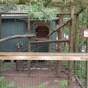 Claws N Paws - NA Porcupine exhibit
