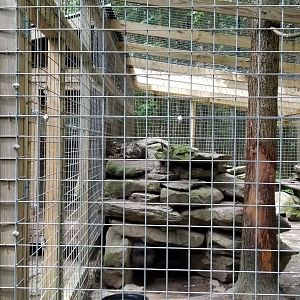 Claws N Paws - Snow Leopard exhibit #3