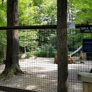 Claws N Paws - Sika Deer, Emu