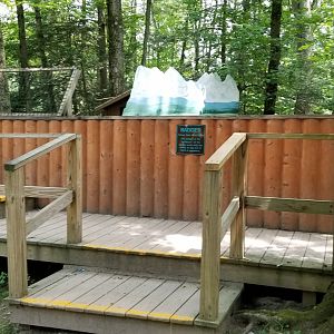 Claws N Paws - Badger exhibit