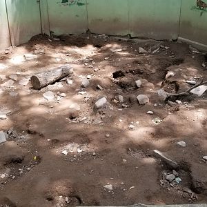 Claws N Paws - Badger exhibit