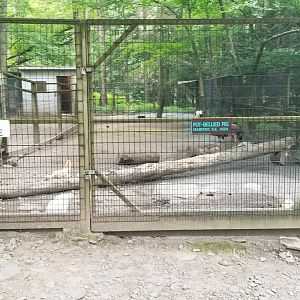 Claws N Paws - Potbellied pigs, chickens